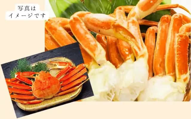 特選ロシア産 冷凍本ズワイ蟹 6Lサイズ3肩 のイメージ